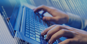 �W(w��ng)վ����