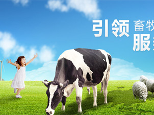 �Ї������̿���˾�W(w��ng)վ���O